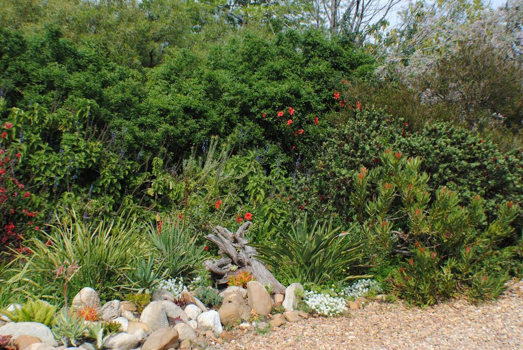 Roundhouse Guesthouse Franschhoek Exterior foto